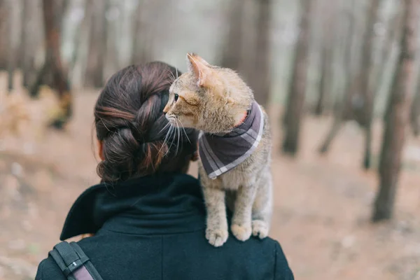 Cestovatel žena procházka lesem s roztomilé kotě na ni by měla — Stock fotografie