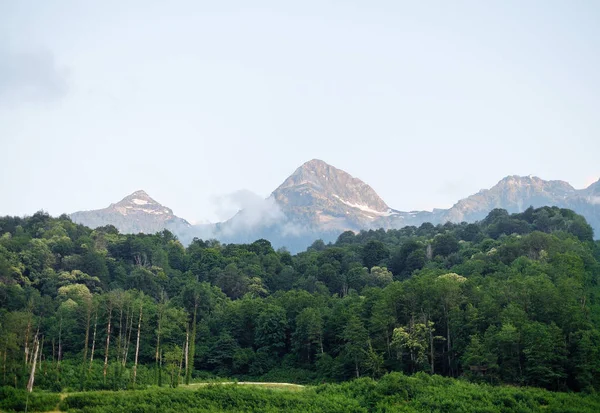 Floresta caduca em frente ao cume da montanha Aibga, Rússia . — Fotografia de Stock