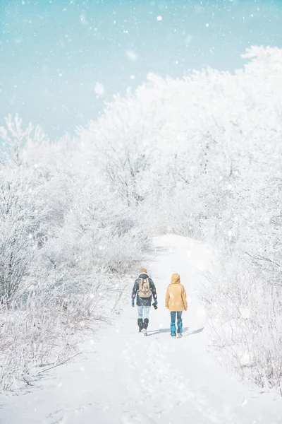 Casal Viajantes Caminhando Bela Geada Floresta Nevada Inverno Livre Vista — Fotografia de Stock