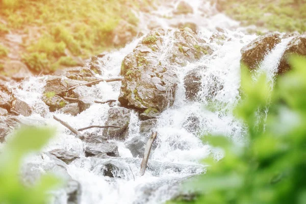 晴れた夏の日に石の間を流れる渓流 — ストック写真