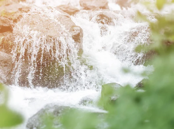 夏には石の上を流れるきれいな山の小川 クローズアップ — ストック写真