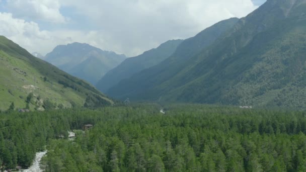 drone plans d'une forêt avec sapins et un panorama de montagne gigantesque 4k personne 