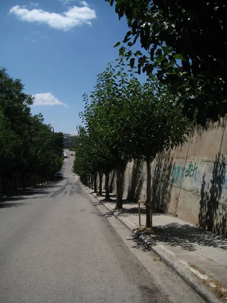 Rechte omzoomde weg met bomen in Athene Griekenland — Stockfoto