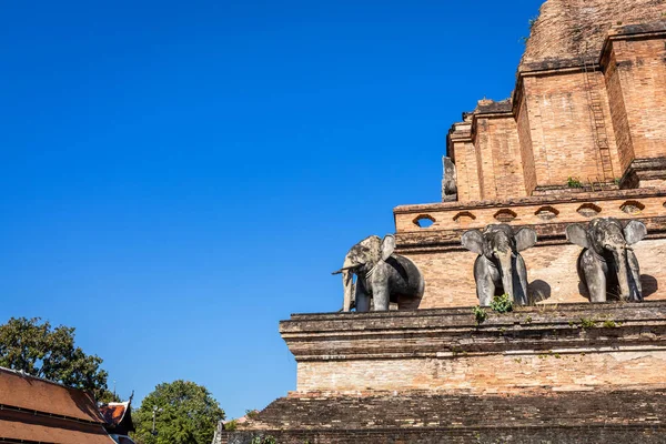 Wat Chedi Luang egy buddhista templom, a történelmi központ és — Stock Fotó