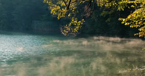 夜明けに霧が湖の上に立ち — ストック動画