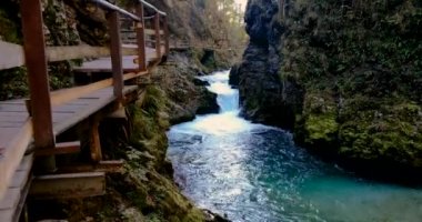 Radovna nehri Vintgar Vadisi 'nde akar. Tahta köprüler. Triglav Ulusal Parkı