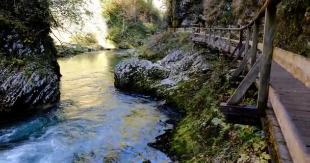 Річка Радовна тече у Вінтгарській ущелині. Дерев'яні мости. Національний парк Триглав — стокове відео