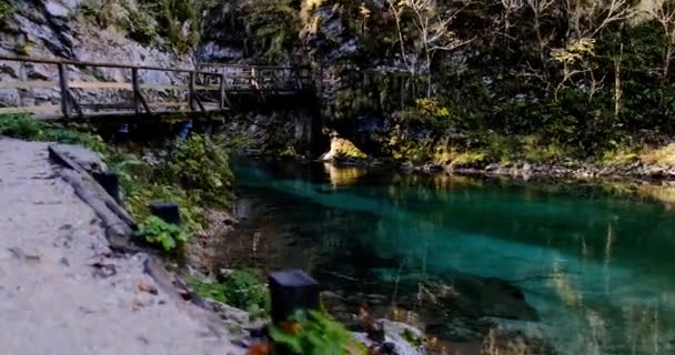 Radovna nehri Vintgar Vadisi 'nde akar. Tahta köprüler. Triglav Ulusal Parkı — Stok video