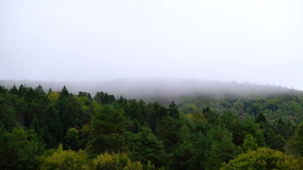 Timelapse Niebla Brumosa Que Sopla Sobre Montañas Con Bosque Pinos — Vídeos de Stock