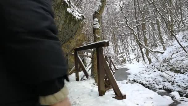 Mann im Wald an einem verschneiten Wintertag. — Stockvideo