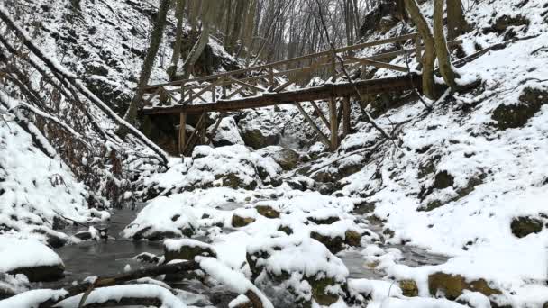 Holzbrücke über einen Gebirgsfluss im Winter. — Stockvideo