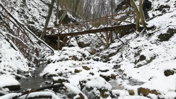 Mann im Wald an einem verschneiten Wintertag. — Stockvideo