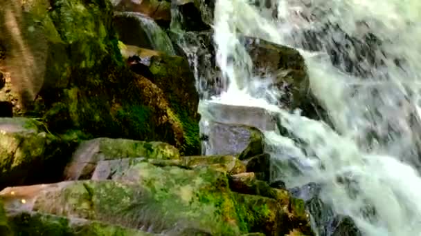 Чистый поток воды между темными камнями . — стоковое видео