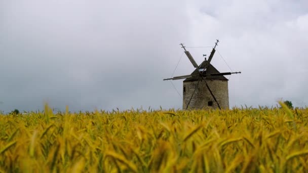 Caducidad del viejo molino de viento en un campo de trigo . — Vídeos de Stock