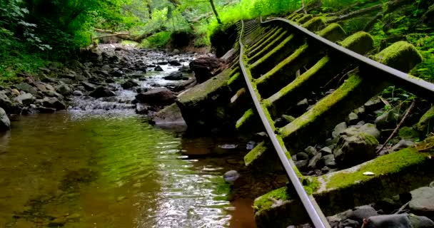 Vía férrea abandonada sobre el arroyo de Csarna — Vídeo de stock