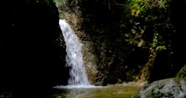 Kuvvetli su akar. Bir orman olan dağda sağanak yağmurdan sonra..