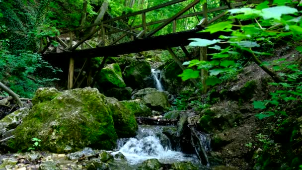 Puente peatonal de madera sobre un arroyo de montaña , — Vídeos de Stock