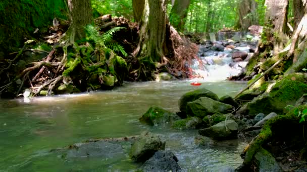 Rio que flui rápido em uma área selvagem  . — Vídeo de Stock