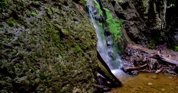 Primo piano di spruzzi di cascata, acqua sorgiva mentre cade e gocciola su rocce coperte — Video Stock