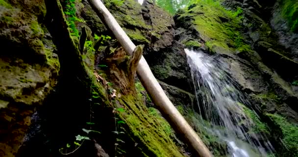 Primo piano di spruzzi di cascata, acqua sorgiva mentre cade e gocciola su rocce coperte — Video Stock