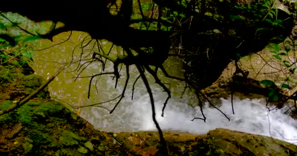 Водопад окружен ветвями и деревьями — стоковое видео