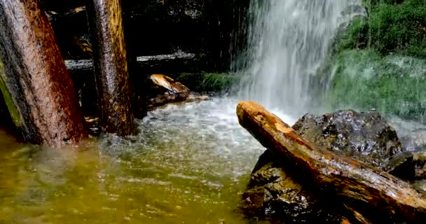 Cierre de una cascada con troncos — Vídeo de stock