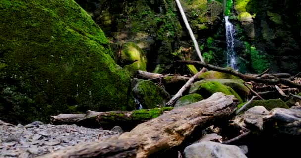 Respingo cachoeira, água de nascente como ele cai e dribla em rochas cobertas — Vídeo de Stock