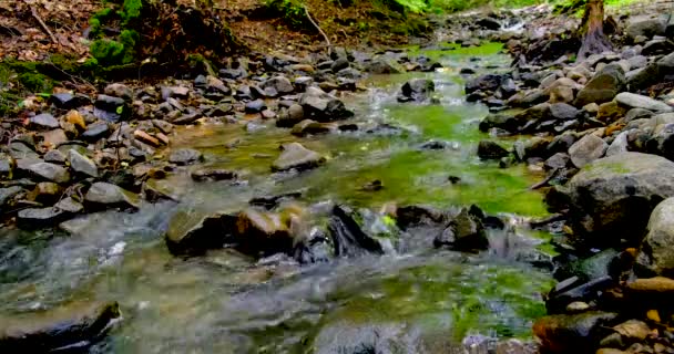 Barco de papel flutuando no fluxo de floresta que flui rápido . — Vídeo de Stock