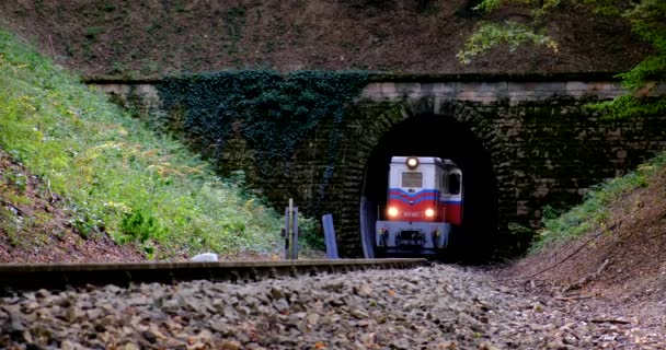 BUDAPEST, HUNGRÍA - FEB.19.2020: Un tren diesel atraviesa un túnel en la ladera de una montaña — Vídeos de Stock