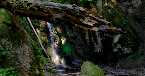 Agua fuerte fluye Después de fuertes lluvias en una montaña que es un bosque . — Vídeos de Stock