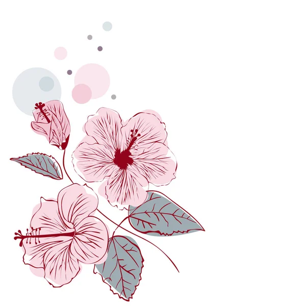 Ibišek květ na bílém pozadí — Stockový vektor