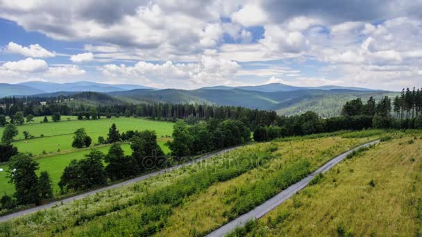 Timelapse landskap bergsstig mellan fält och forrest mot himlen med moln på sommaren — Stockvideo