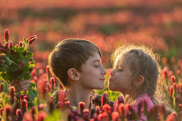 Menino e menina se beijando no campo de trevo. Que amor bonito. Cena adorável . — Fotografia de Stock