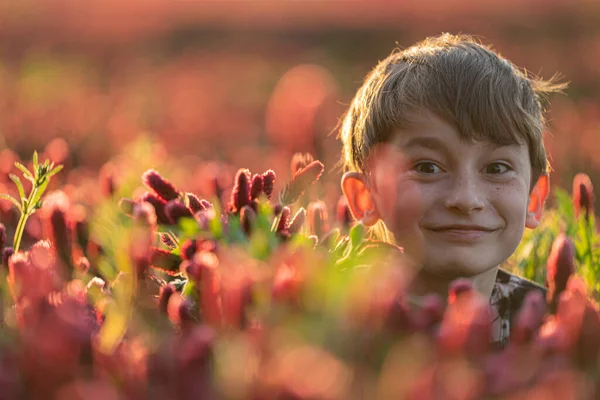 Niño feliz mirando por encima de las flores en el campo eclover. Escena optimista . — Foto de Stock