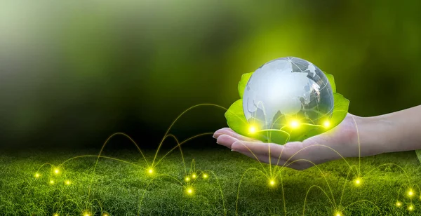 Yenilenebilir enerji konsepti Dünya Günü veya çevre koruma Elleri toprakta yetişen ormanları korur ve dünyayı kurtarmaya yardım eder.