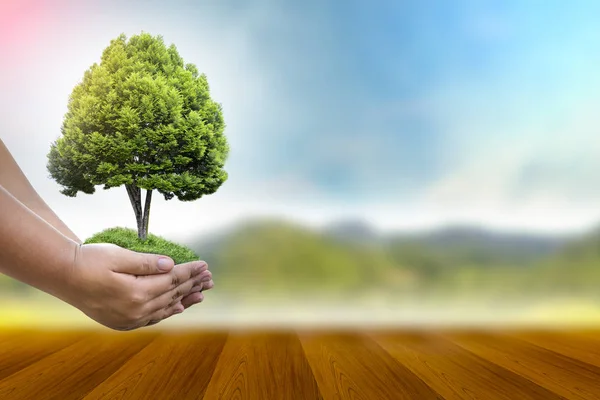 Yenilenebilir enerji konsepti Dünya Günü veya çevre koruma Elleri toprakta yetişen ormanları korur ve dünyayı kurtarmaya yardım eder.