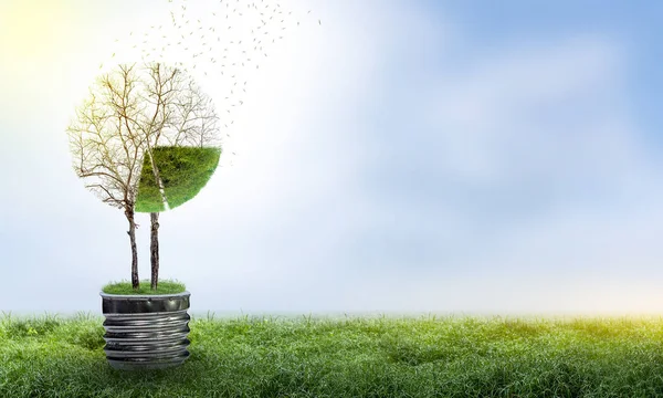 Круговая Диаграмма Является Растущим Зеленым Деревом Входит Бизнес Концепцию Потери — стоковое фото