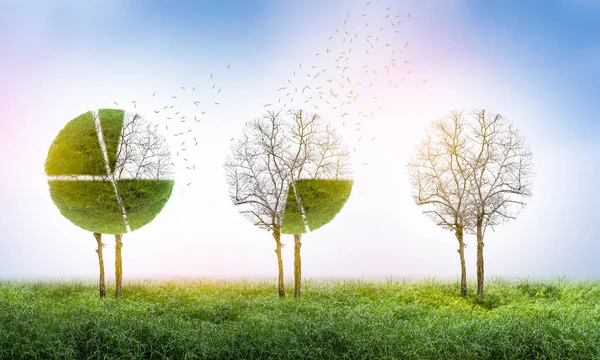 Pazar payı kaybı pasta grafik büyüyen bir yeşil ağaç ve para kaybetme bir iş kavramı içine düşüyor, ekonomik yatırım sembolü.