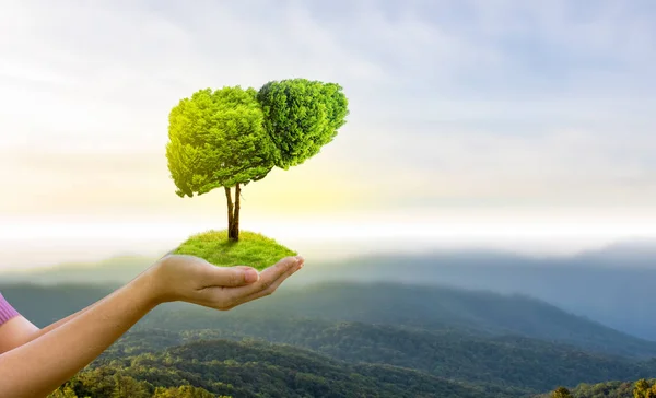 Imagens Realistas Fígado São Formas Árvores Verdes Humanas Sobre Doenças — Fotografia de Stock