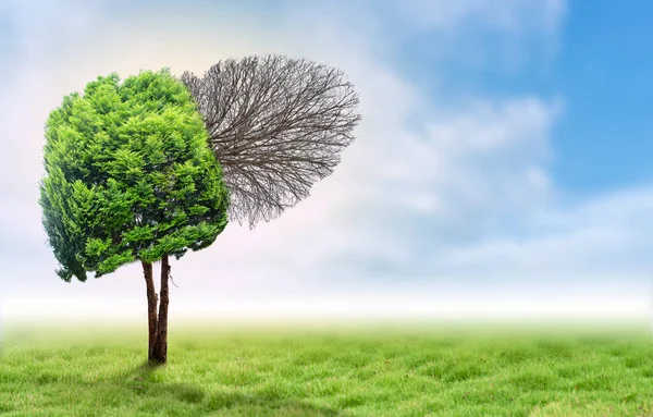 Gerçekçi karaciğer görüntüleri hastalıklar ve siroz (çevre hakkında insan yeşil ağaç şekilleri).