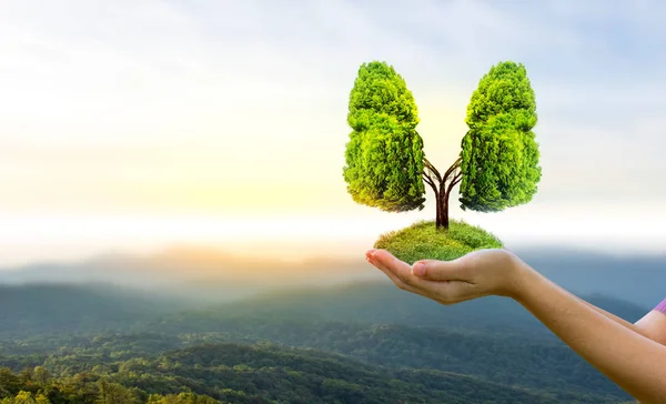 Akciğer yeşil ağaç şekilli görüntüler, tıbbi kavramlar, otopsi, 3D ekran ve hayvanlar bir eleman olarak