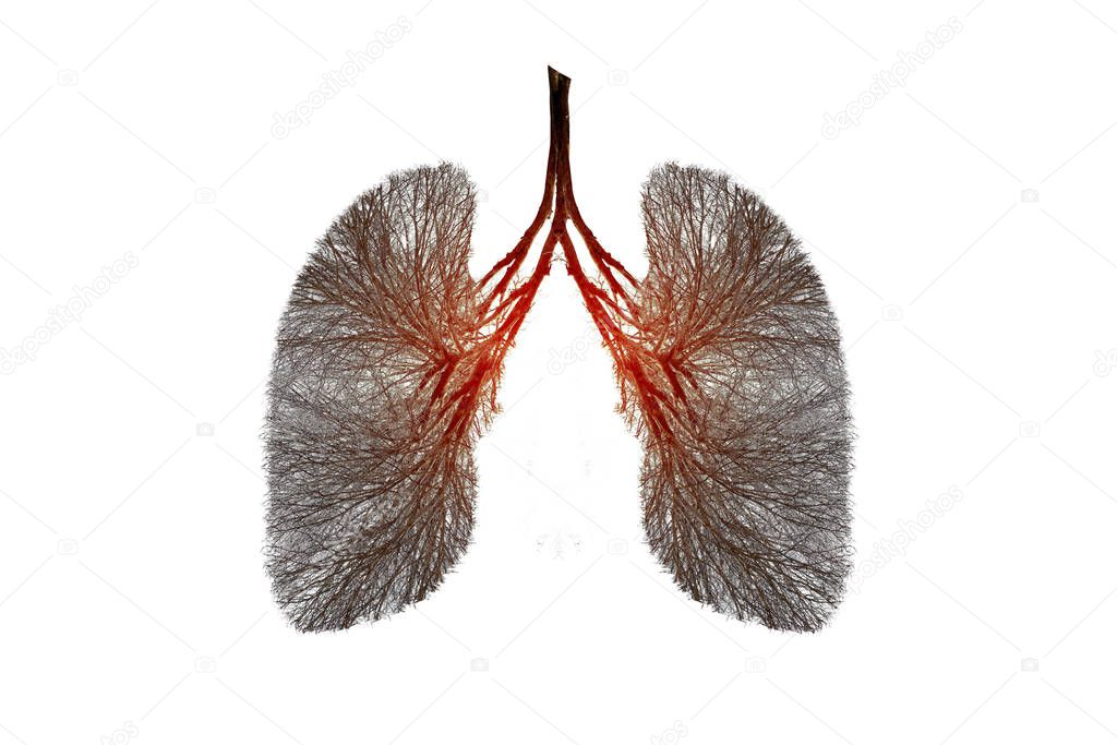 Illustration of lung tree (Environment and Medicine)