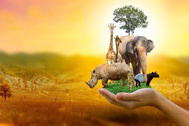 Yaban Hayatı Koruma Günü Vahşi hayvanlar eve. Veya yaban hayatı koruma