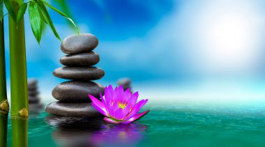 Spa massage, natural alternative treatment (Hot stone massage)