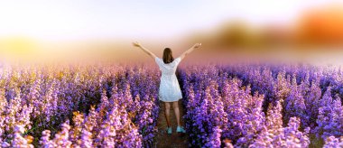 I love flower farm, Mae Rim District, Chiang Mai Province