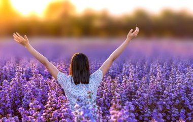 I love flower farm, Mae Rim District, Chiang Mai Province