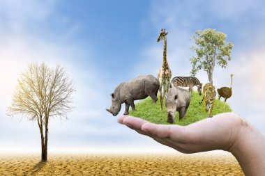 Yaban Hayatı Koruma Günü Vahşi hayvanlar eve. Veya yaban hayatı koruma