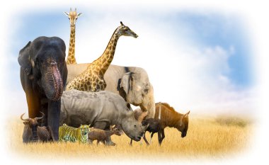 Yaban Hayatı Koruma Günü Vahşi hayvanlar eve. Veya yaban hayatı koruma