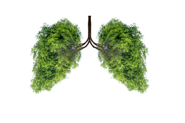 Illustration Lung Tree Environment Medicine — 스톡 사진