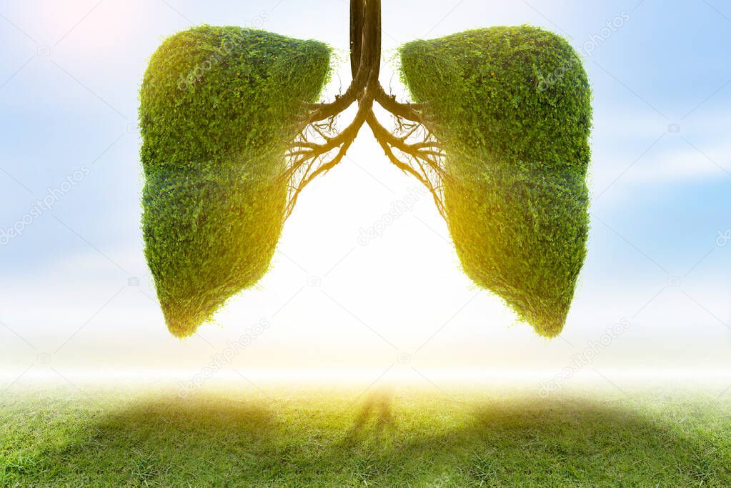 Illustration of lung tree (Environment and Medicine)
